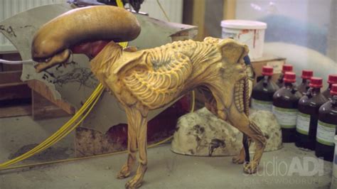 alien dog porn|'alien dog' Search .